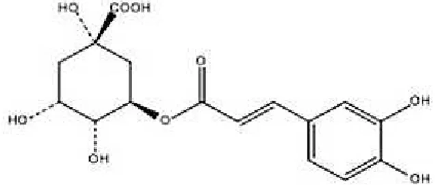 Figura 4. Estrutura química do ácido clorogénico (adaptado de Farinhoto, 2012). 