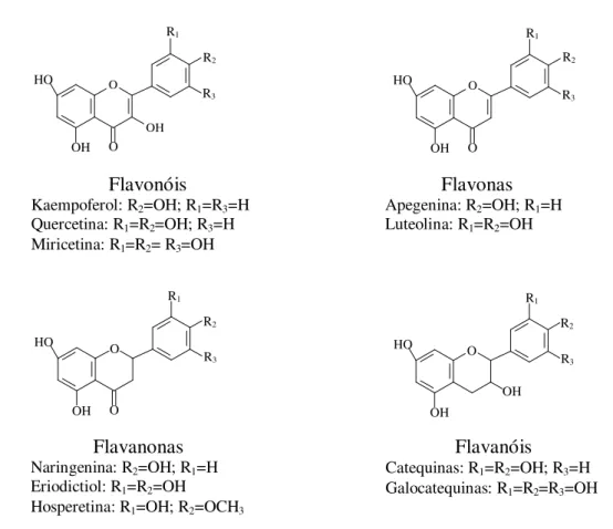 Figura 6. Exemplos de alguns flavonoides mais comuns (adaptado de Cruz, 2008). 