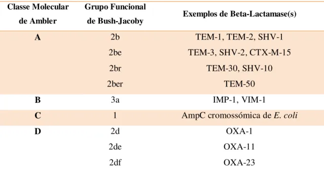 Tabela 1. Classificação das beta-lactamases (adaptado de Haeggman, 2010). 