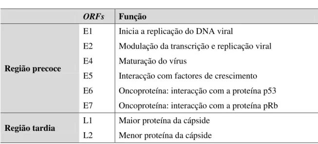 Tabela 1. Funções dos genes que compõem o genoma viral do HPV  ORFs  Função 