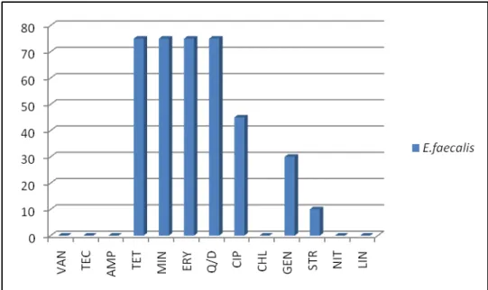 Figura  6:  Distribuição  do  fenótipo  de  resistência  a  antibióticos  em  E.  faecalis  em  percentagem 