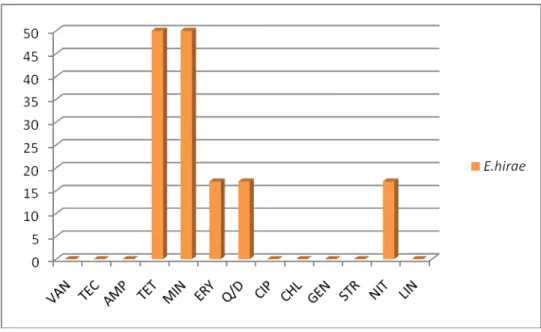 Figura  8:Distribuição  do  fenótipo  de  resistência  a  antibióticos  em  E.  hirae  em  percentagem 