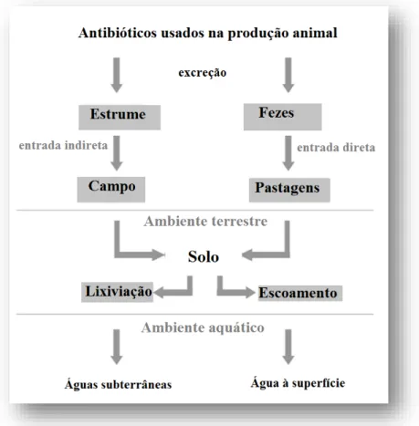 Figura 4  –  Antibióticos usados na produção animal no ambiente (adaptado de Kemper, 2007)