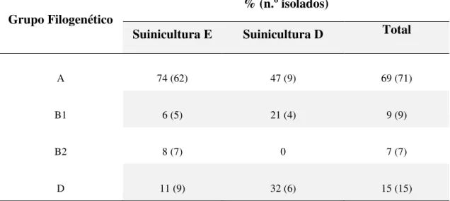 Tabela 2 - Número de isolados e respetiva distribuição por grupos filogenéticos para cada  suinicultura analisada 