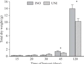 Figure 1 – Effect of S. americanum inoculation (INO) on the  total dry weight of A. farnesiana seedlings compared with the  uninoculated control (UNI), as a function of harvest time in a  greenhouse experiment.