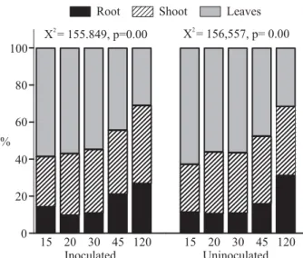 Figure 2 – Effect of harvest time in the dry-weight allocation for  different structures of inoculated and uninoculated seedlings of  the Acacia farnesiana in a greenhouse experiment.