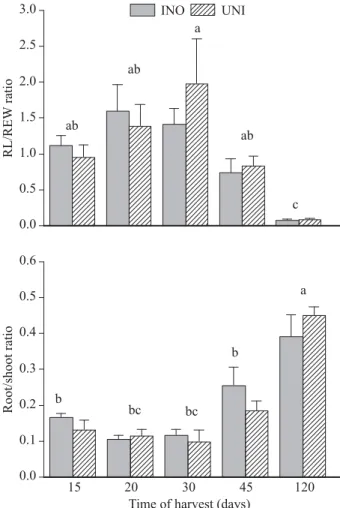 Figure 3 – Effect of inoculation with S. americanum (INO) on  root length/ root dry weight ratio (RL/RDW) and the root/shoot  ratio (R/S) at different times after inoculation in different times of  harvest (15, 20, 30, 45 and 120 days) in A