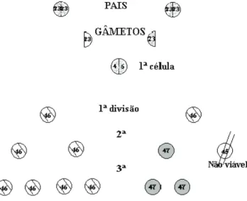 Figura 3: Distribuição cromossómica em mosaico (adaptada de Fundación Catalana Síndrome  de Down,1996:12)