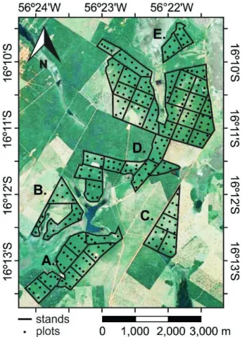 FIGURE 1 Position of the plots allocated on the Tectona grandis  stands.
