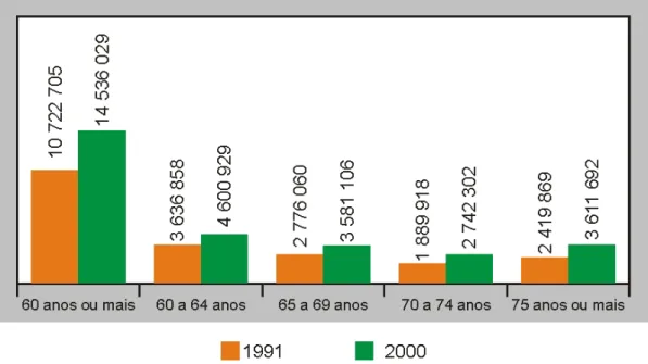 Gráfico 1.3.2.1 – População residente de 60 anos ou mais de idade, por grupo de idade –  Brasil – 1991/2000
