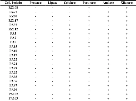 Tabela III.3: Enzimas extracelulares produzidas em cultura pelos isolados.