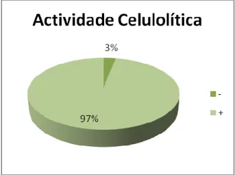 Figura  III.1:  Resultado  dos  testes  de  determinação  de  actividade celulolítica