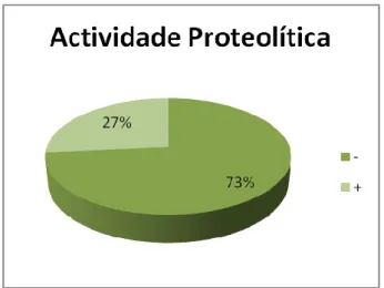 Figura  III.3:  Resultado  dos  testes  de  determinação  de  actividade proteolítica