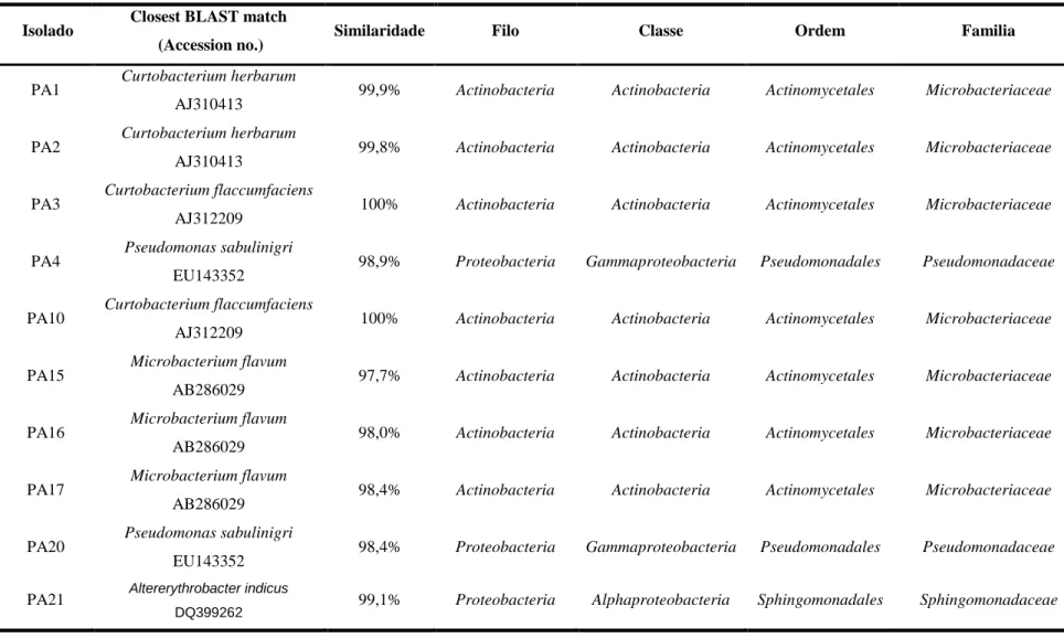 Tabela  III.4:  Afiliação  filogenética  das  sequências  bacterianas  do  gene  16S  rRNA  obtidas  da  comunidade  endofítica  de  Halimione  portulacoides,  Parte Aérea e Raiz