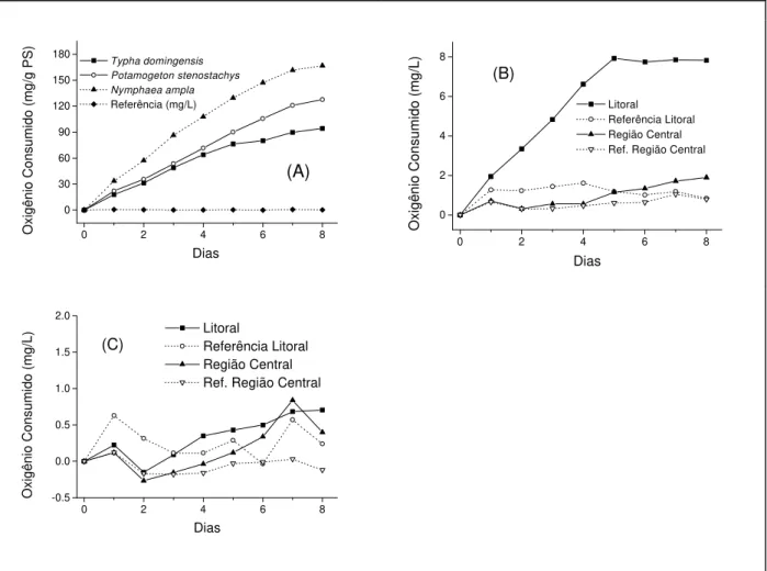 Figure 1. Temporal variations of the dissolved oxygen uptake in the mineralization of the aquatic macrophytes (A) and of sucrose in the samples of water of the Imboassica (B) and Cabiúnas (C) lagoons.