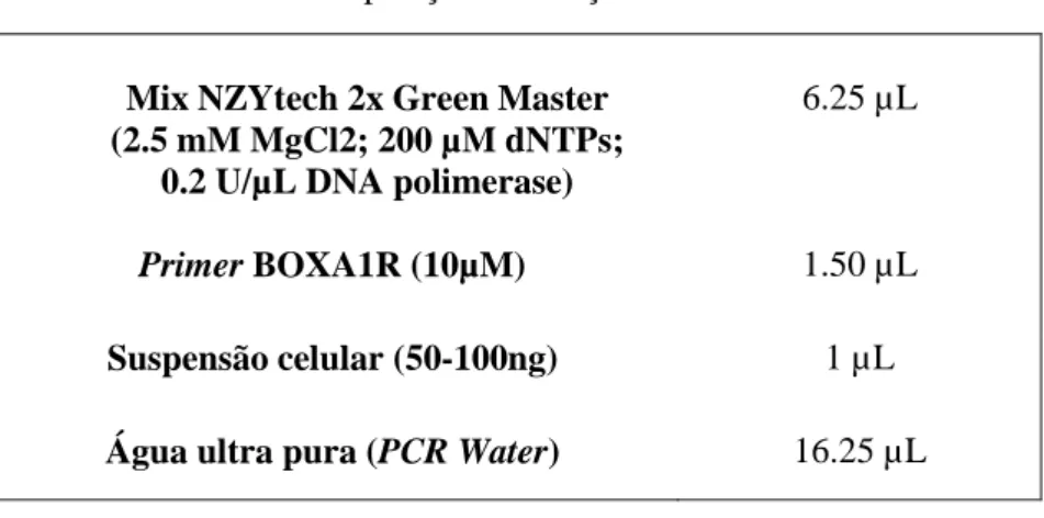 Tabela 6. Composição das reações de BOX-PCR. 