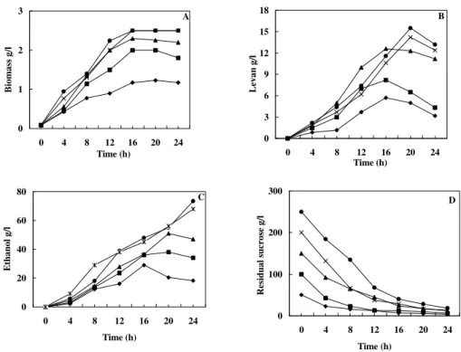 Figure 1. Effect of sucrose concentration on  fermentation kinetics of Z. mobilis B4286, Sucrose (♦) 5%  ( ) 10% (∆)15% (x) 20% (•) 25% B036912151804812162024Time (h)Levan g/lA012304812162024Time (h)Biomass g/lC02040608004812162024Time (h)Ethanol g/l D0100