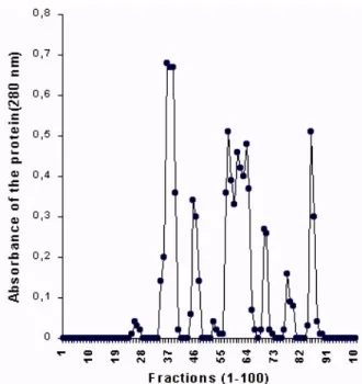 Figure 1 - Elution profile of lipases from Sephadex G- G-200 column. A: absorbance at 280 nm and B: lipase  activity (Uml -1 )