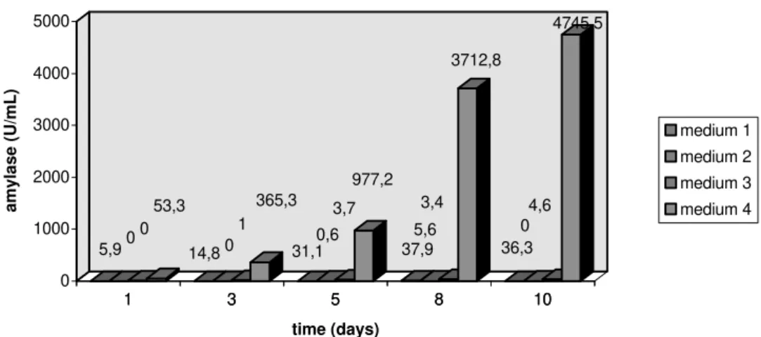 Figure 2 - Amylase production of A. flavus in different formulations.