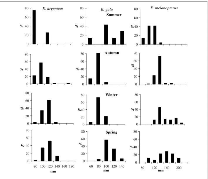 Fig. 2 - Relative size class frequency of the Eucinostomus spp specimens, with respect to the total number of individuals per species caught each season.