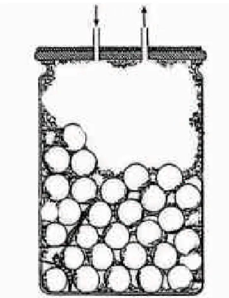 Figure 1 - Experimental device used for bioassimilation determination (biosynthesol).