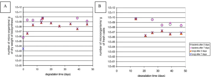 Figure 2 - Counting of micro-organisms versus time: A) in biosynthesol without earthworm, containing OLA 50 as sole carbon source B) in E