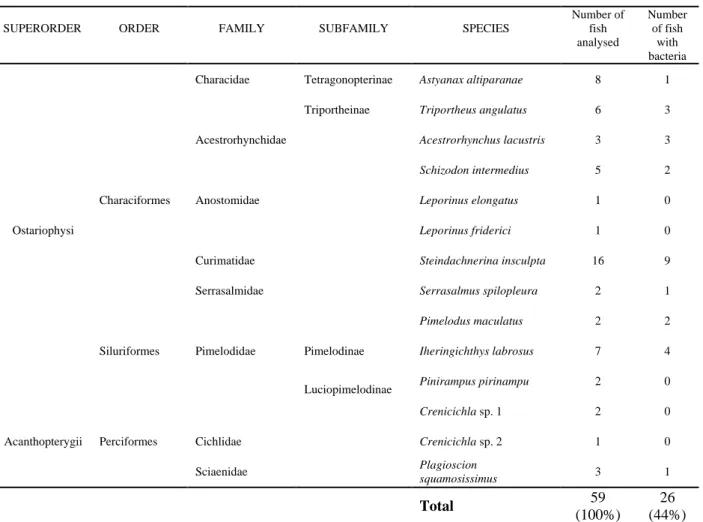 Table 3 shows the qualitative and quantitative composition of the water bacterial community.
