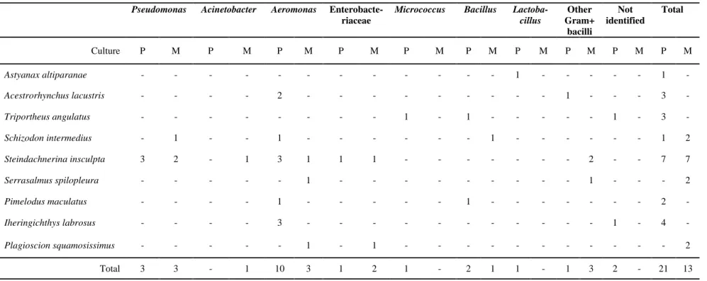 Table 2 - Bacterial strains isolated, in pure (P) or mixed (M) cultures, from the fish used in this study.