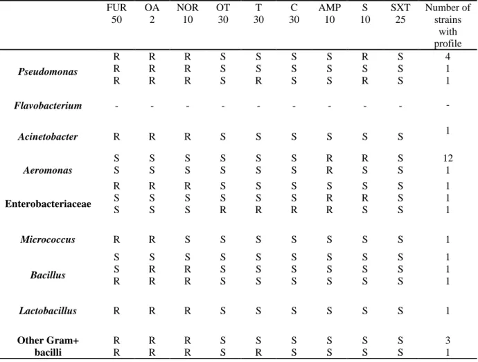 Table 4 - Susceptibility/Resistance profiles of bacteria isolated from fish used in the present study