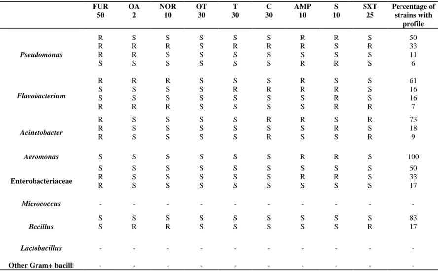 Table 5 - Susceptibility/Resistance profiles of the bacteria isolated from the water of Congonhas River