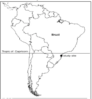 Figure 1 – Location of the study area of a 8-year-old fallow in Tropical Rain Forest, Santa Catarina, Southern Brazil.