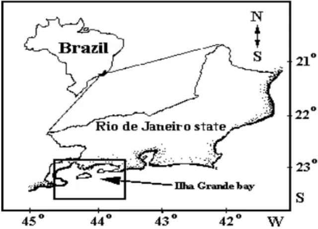Figure 1 - Geographical localisation of Ilha Grande Bay. 
