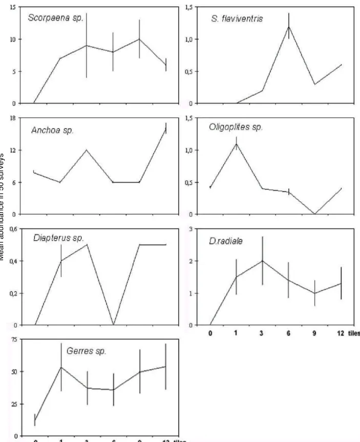 Figure 4 - Mean abundance of analysed fish species that presented no increasing pattern by type of structure