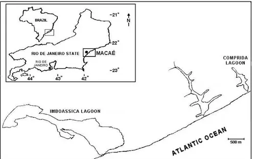 Figure 1 - Location of Imboassica and Comprida lagoons, in the State of Rio de Janeiro.