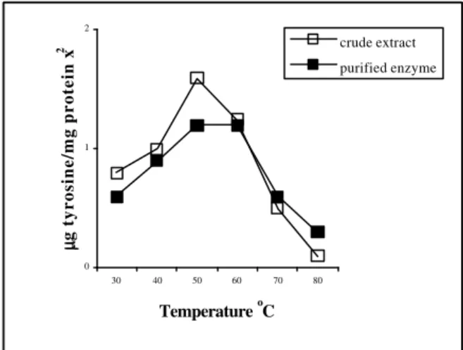 Figure 1 -  Effect of temperature on activity of purified 