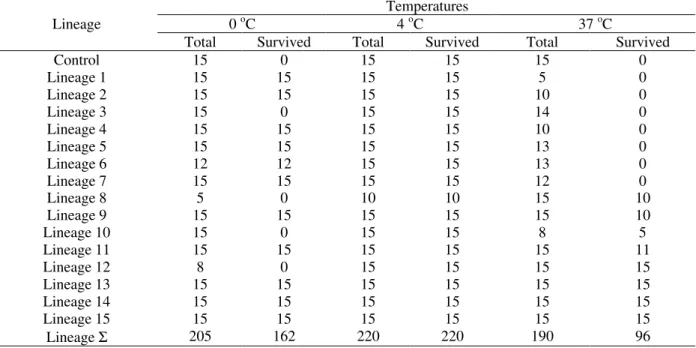 Table 1 – Resistance results to stress temperatures in 15 independent transgenic strains of lettuce c.v