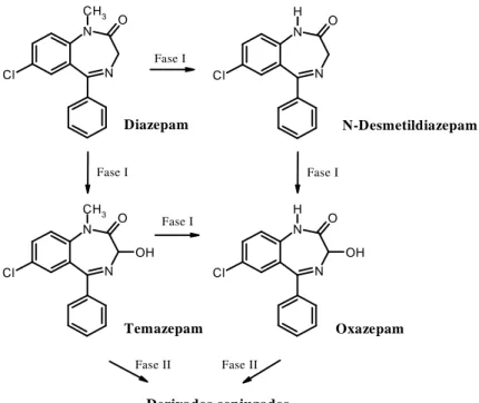 Figura 6. Metabolismo do diazepam no Homem 