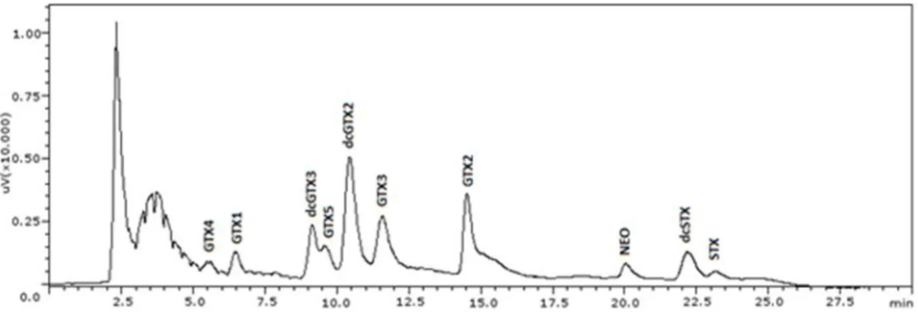 Figure 2.1 - PSTs elution pattern in spiked mussel with standards.. 