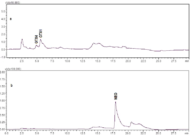 Figure 2.2 -GTX1,4 (1.6 nmol) incubated with 1M 2-ME in 0.1M phosphate buffer, pH 7.4 during 30 minutes in water bath