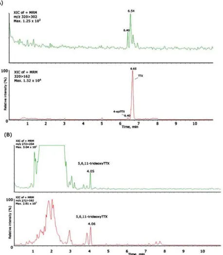 Figure 2.9 -  Mass chromatograms of the UPLC-MS/MS obtained under MRM operation of the positive samples of Monodonta lineata and C