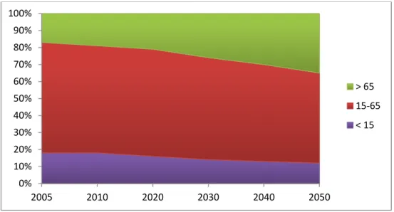 Gráfico 2.3 - Peso Relativo das Faixas Etárias (fonte: APFN 2008) 