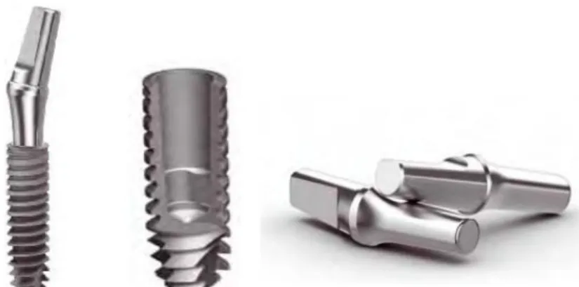 Figure 10: implant Axiom from Anthogyr.It has a morse taper with a conicity of 3° with  a trilobe antirotational system.Font (www.anthogyr.fr) (accessed June 20, 2015)