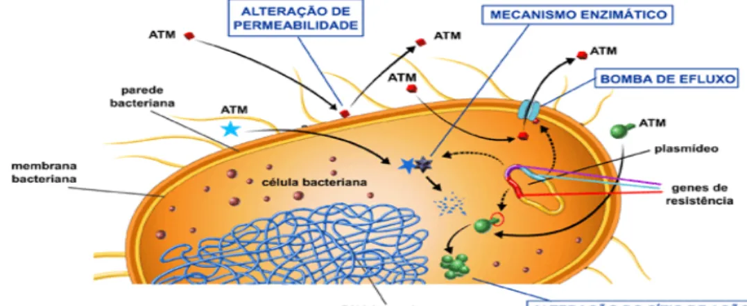 Figura  5.  Mecanismos  de  resistência  das  bactérias  aos  antibióticos  (Disponível  na  internet)