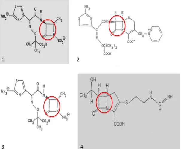 Figura 2 – Diferentes sub-grupos pertencentes aos antibióticos β-lactâmicos. 1- Penicilinas; 