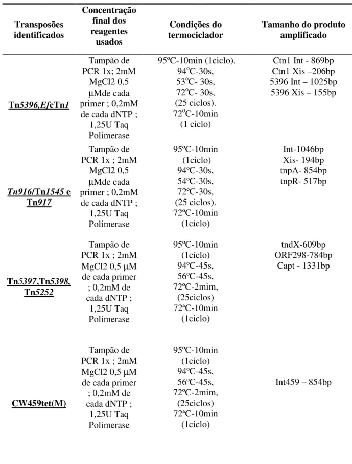Tabela  3  -  Condições  utilizadas  nas  reacções  de  PCR  para  a  amplificação  dos  diferentes  genes que codificam para os transposões conjugativos