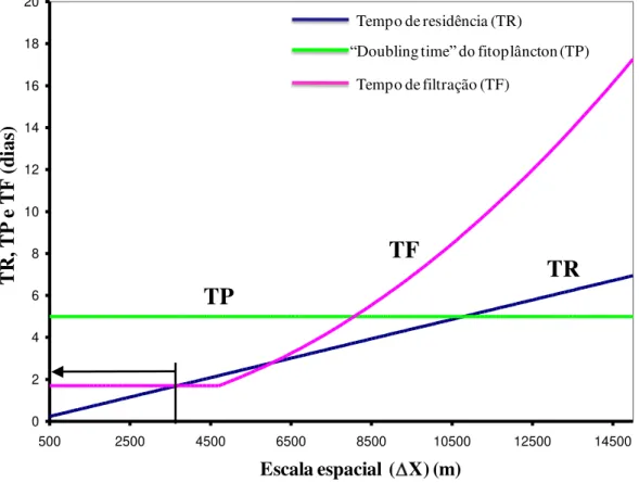 Figura 9 - Estimativas de TR, TP e TF em função da escala espacial, para a baía de Sungo  (adaptado de Duarte et al