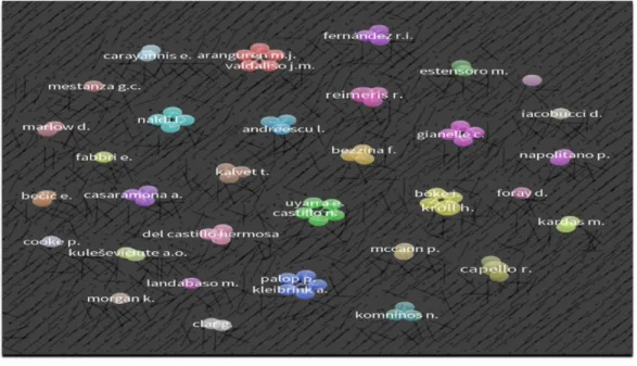 FIGURE 4  Co‐Author Network
