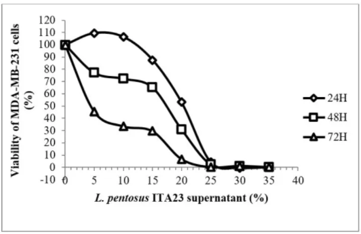 Figure 1. Cytotoxic effects of the L. pentosus ITA23 supernatants  against the MDA-MB-231 cell line
