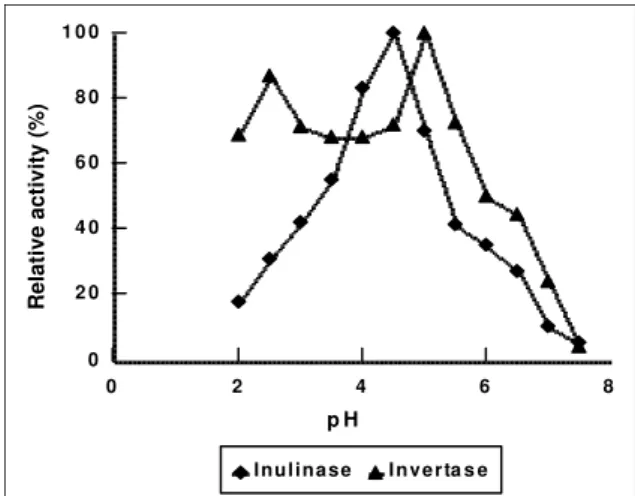 Figure 5: Effect of inulin concentration on the activity of β-fructosidase from Aspergillus  niger-245