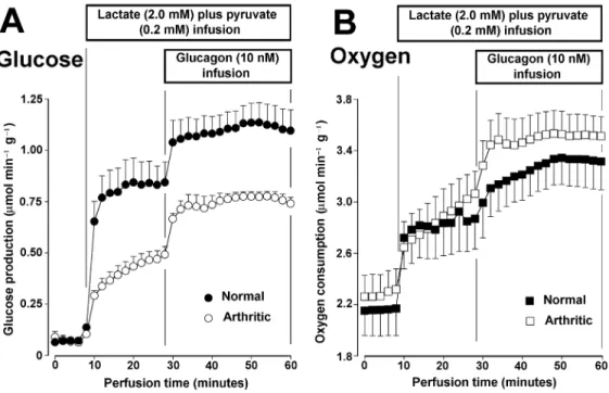 Figure 1 shows the  glucose produc-tion and oxygen  uptake measurements when the normal  Krebs/Henseleit-bicarbonate buffer was employed; 